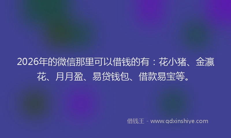 2026年的微信那里可以借钱的有:花小猪、金瀛花、月月盈、易贷钱包、借款易宝等。