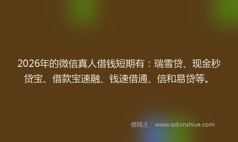 2026年的微信真人借钱短期有：瑞雪贷、现金秒贷宝、借款宝速融、钱速借通、信和易贷等。