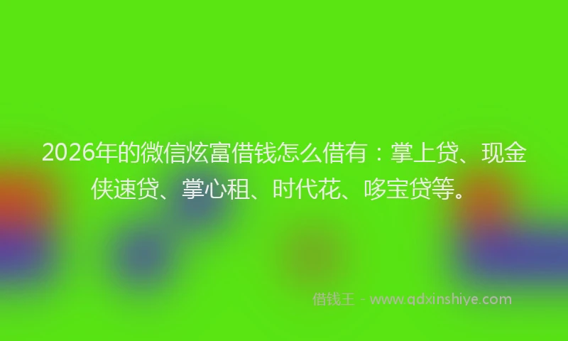 2026年的微信炫富借钱怎么借有：掌上贷、现金侠速贷、掌心租、时代花、哆宝贷等。