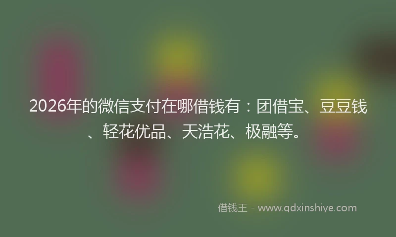 2026年的微信支付在哪借钱有：团借宝、豆豆钱、轻花优品、天浩花、极融等。