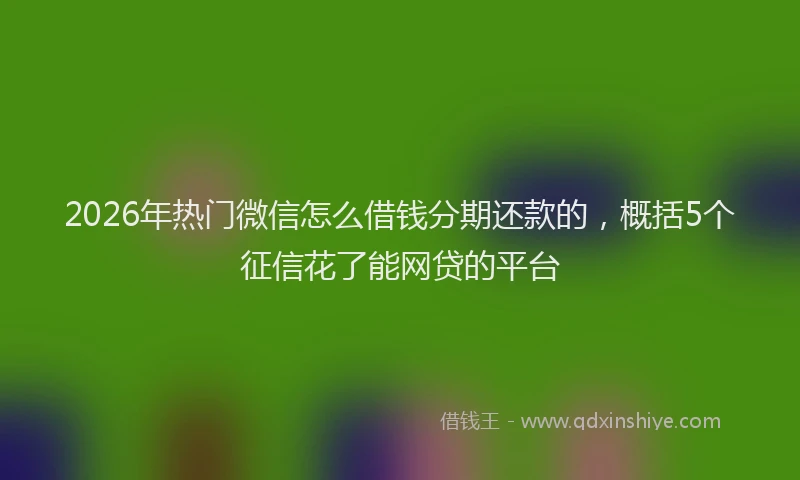2026年热门微信怎么借钱分期还款的，概括5个征信花了能网贷的平台