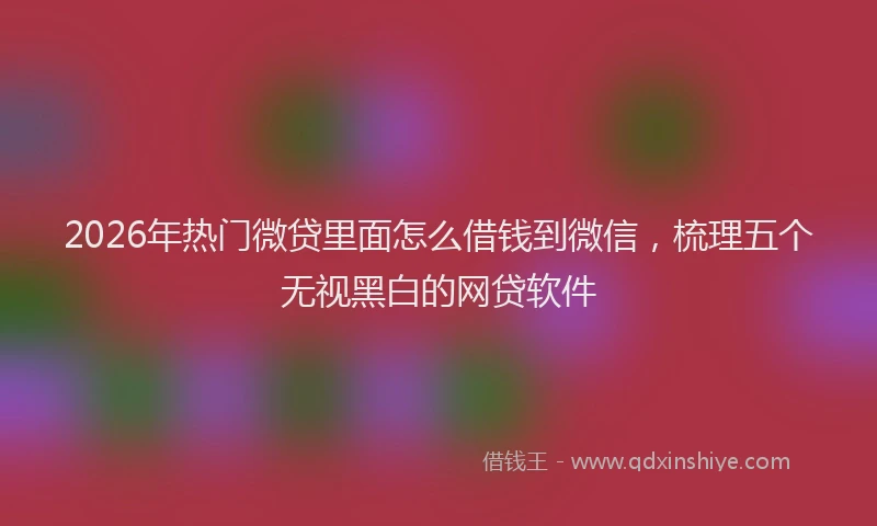 2026年热门微贷里面怎么借钱到微信,梳理五个无视黑白的网贷软件