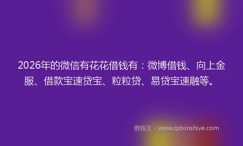 2026年的微信有花花借钱有：微博借钱、向上金服、借款宝速贷宝、粒粒贷、易贷宝速融等。