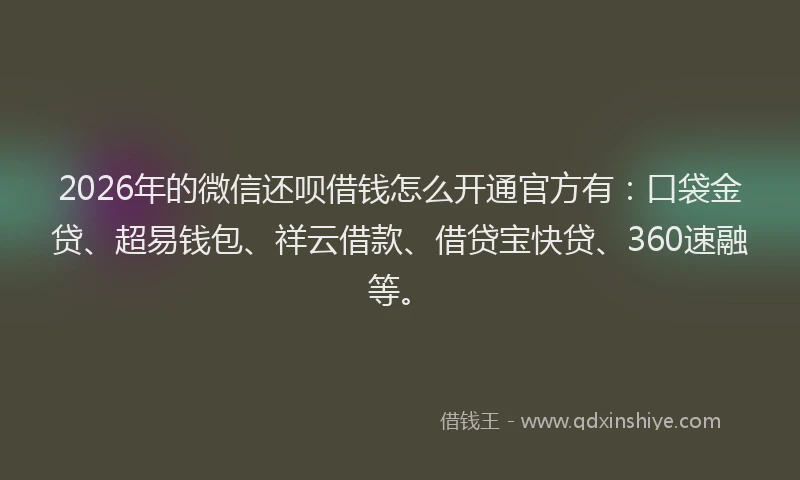 2026年的微信还呗借钱怎么开通官方有：口袋金贷、超易钱包、祥云借款、借贷宝快贷、360速融等。