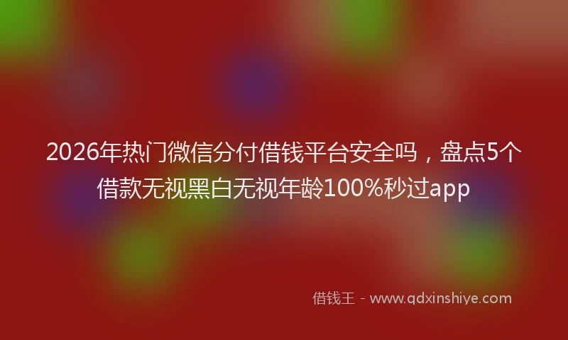 2026年热门微信分付借钱平台安全吗，盘点5个借款无视黑白无视年龄100%秒过app