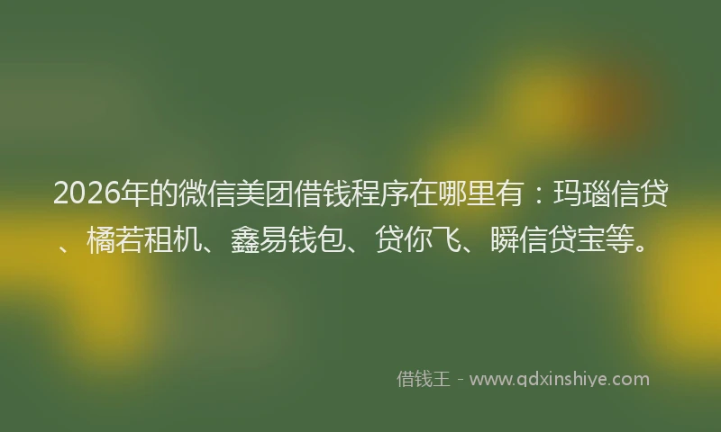2026年的微信美团借钱程序在哪里有：玛瑙信贷、橘若租机、鑫易钱包、贷你飞、瞬信贷宝等。