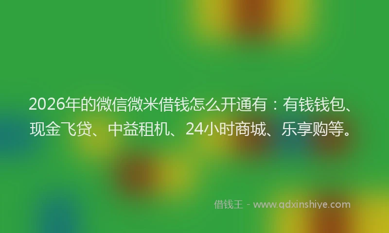 2026年的微信微米借钱怎么开通有：有钱钱包、现金飞贷、中益租机、24小时商城、乐享购等。