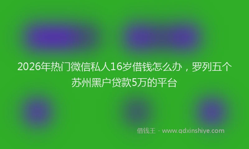 2026年热门微信私人16岁借钱怎么办，罗列五个苏州黑户贷款5万的平台