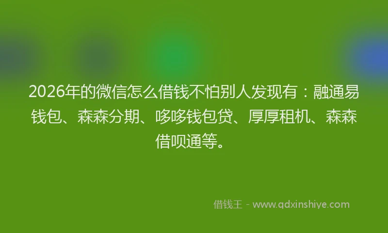2026年的微信怎么借钱不怕别人发现有：融通易钱包、森森分期、哆哆钱包贷、厚厚租机、森森借呗通等。