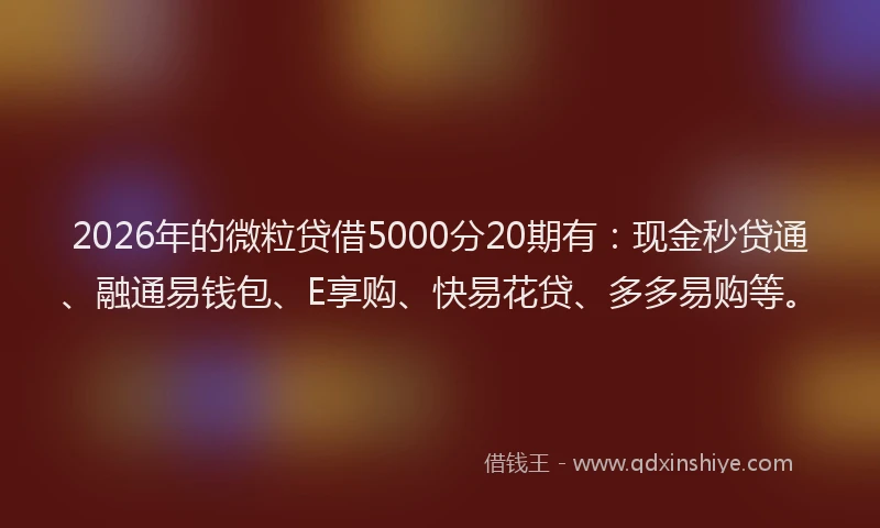 2026年的微粒贷借5000分20期有：现金秒贷通、融通易钱包、E享购、快易花贷、多多易购等。