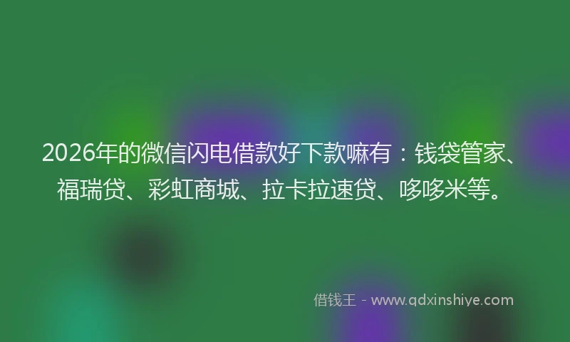 2026年的微信闪电借款好下款嘛有：钱袋管家、福瑞贷、彩虹商城、拉卡拉速贷、哆哆米等。