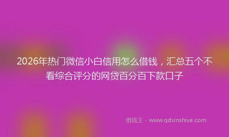 2026年热门微信小白信用怎么借钱，汇总五个不看综合评分的网贷百分百下款口子