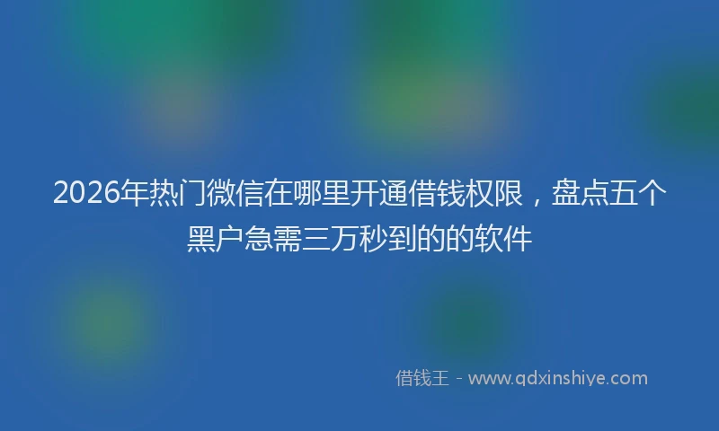 2026年热门微信在哪里开通借钱权限，盘点五个黑户急需三万秒到的的软件