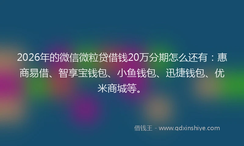 2026年的微信微粒贷借钱20万分期怎么还有：惠商易借、智享宝钱包、小鱼钱包、迅捷钱包、优米商城等。