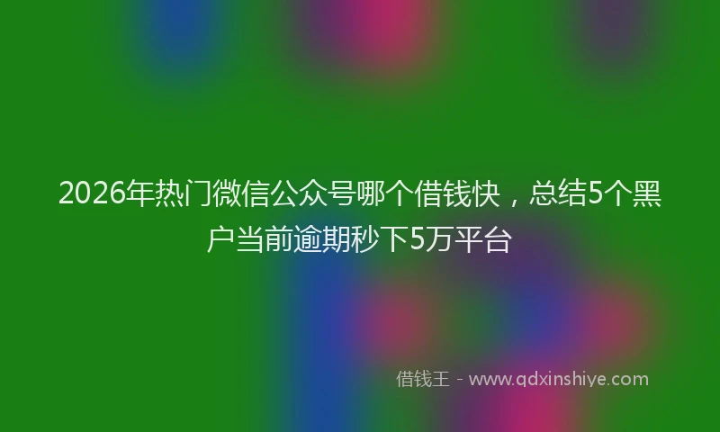 2026年热门微信公众号哪个借钱快，总结5个黑户当前逾期秒下5万平台