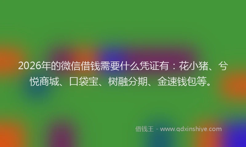 2026年的微信借钱需要什么凭证有：花小猪、兮悦商城、口袋宝、树融分期、金速钱包等。