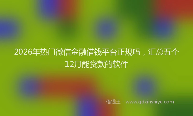 2026年热门微信金融借钱平台正规吗，汇总五个12月能贷款的软件