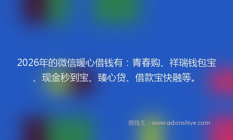 2026年的微信暖心借钱有：青春购、祥瑞钱包宝、现金秒到宝、臻心贷、借款宝快融等。