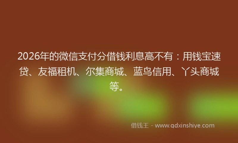 2026年的微信支付分借钱利息高不有：用钱宝速贷、友福租机、尔集商城、蓝鸟信用、丫头商城等。