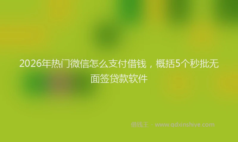 2026年热门微信怎么支付借钱，概括5个秒批无面签贷款软件