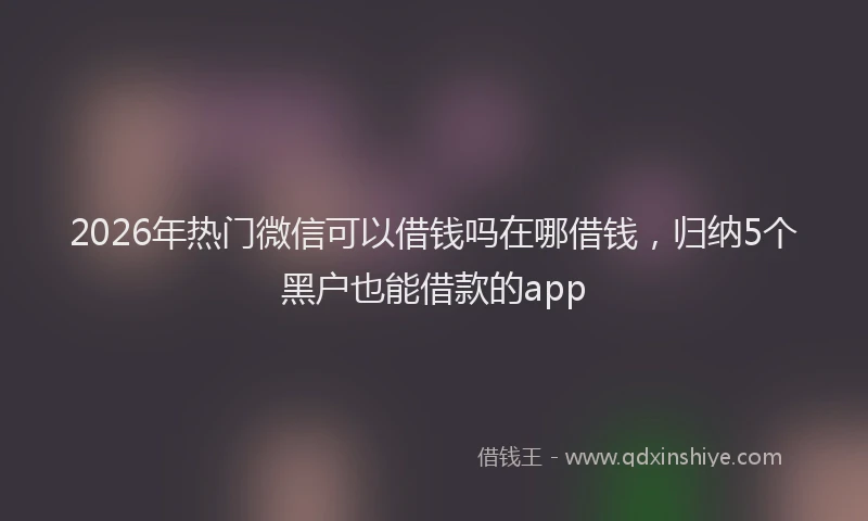 2026年热门微信可以借钱吗在哪借钱，归纳5个黑户也能借款的app