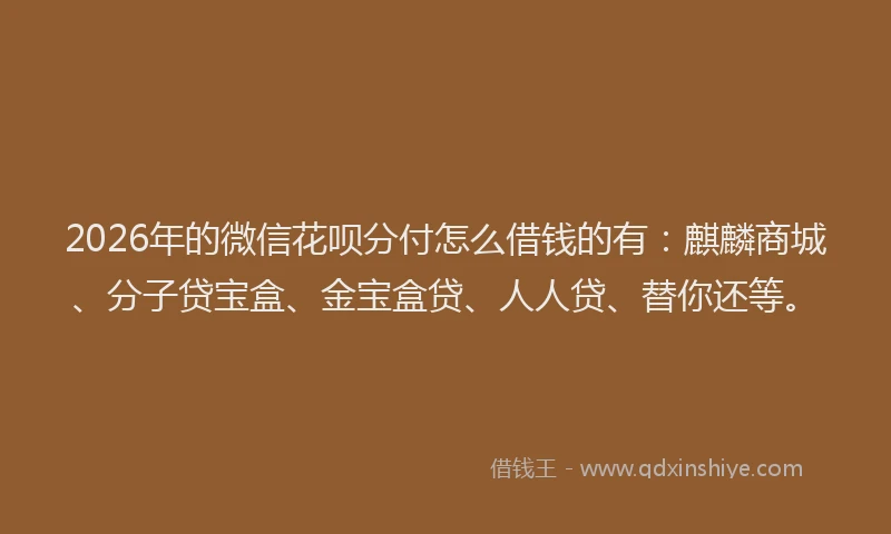 2026年的微信花呗分付怎么借钱的有：麒麟商城、分子贷宝盒、金宝盒贷、人人贷、替你还等。