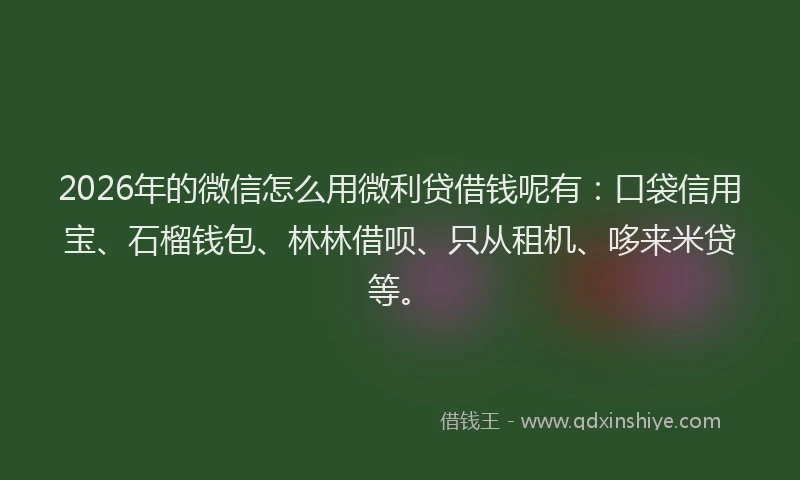 2026年的微信怎么用微利贷借钱呢有：口袋信用宝、石榴钱包、林林借呗、只从租机、哆来米贷等。