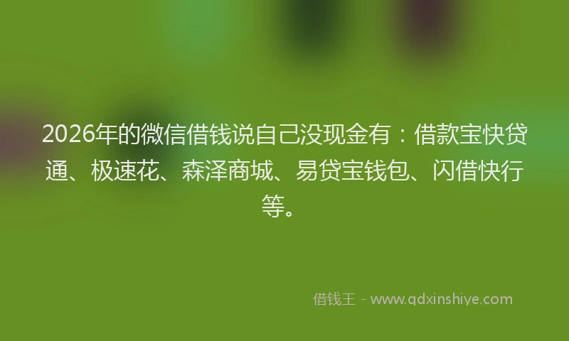 2026年的微信借钱说自己没现金有：借款宝快贷通、极速花、森泽商城、易贷宝钱包、闪借快行等。