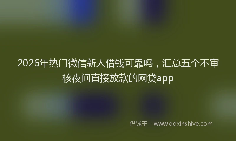 2026年热门微信新人借钱可靠吗，汇总五个不审核夜间直接放款的网贷app