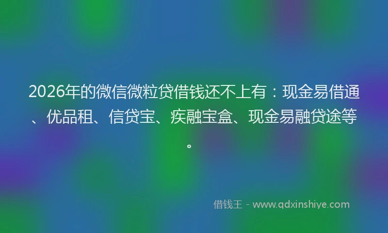 2026年的微信微粒贷借钱还不上有：现金易借通、优品租、信贷宝、疾融宝盒、现金易融贷途等。
