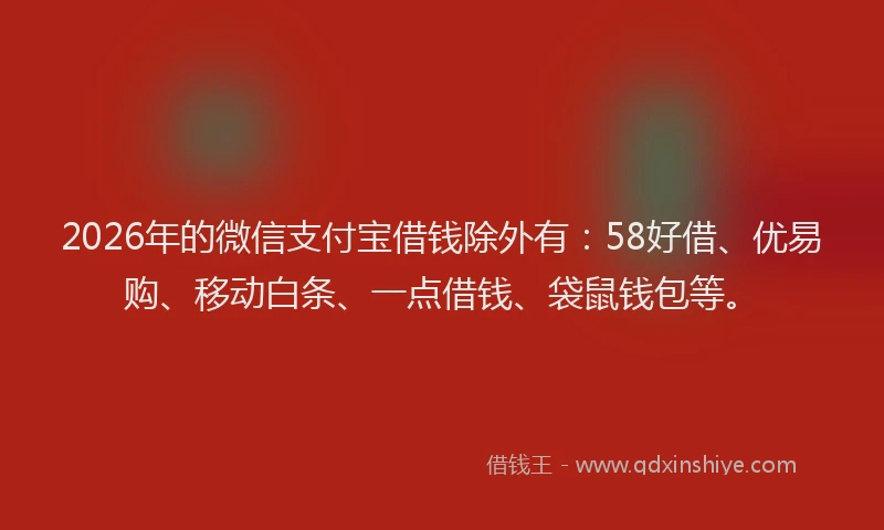 2026年的微信支付宝借钱除外有：58好借、优易购、移动白条、一点借钱、袋鼠钱包等。