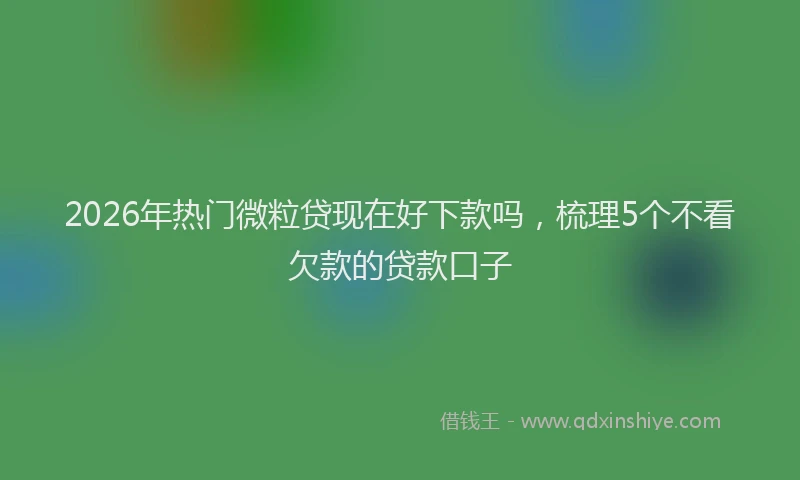 2026年热门微粒贷现在好下款吗，梳理5个不看欠款的贷款口子