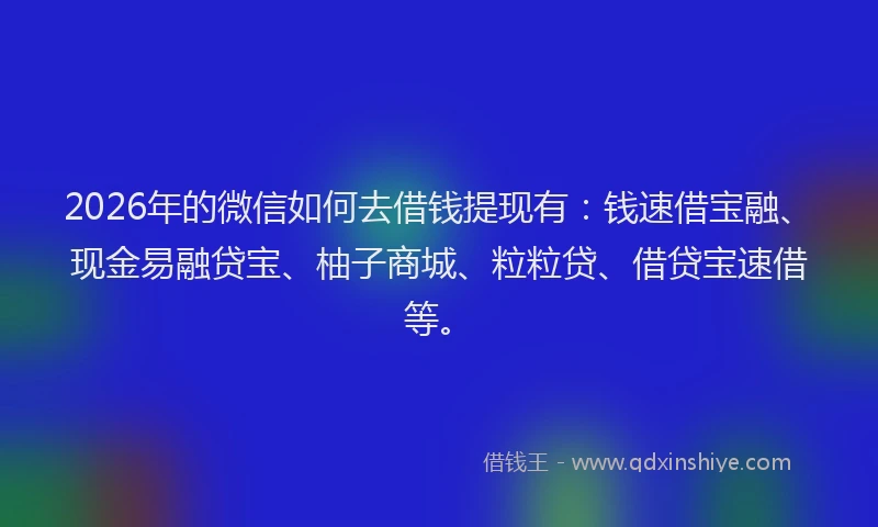 2026年的微信如何去借钱提现有:钱速借宝融、现金易融贷宝、柚子商城、粒粒贷、借贷宝速借等。