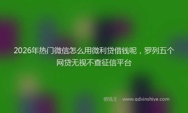 2026年热门微信怎么用微利贷借钱呢，罗列五个网贷无视不查征信平台