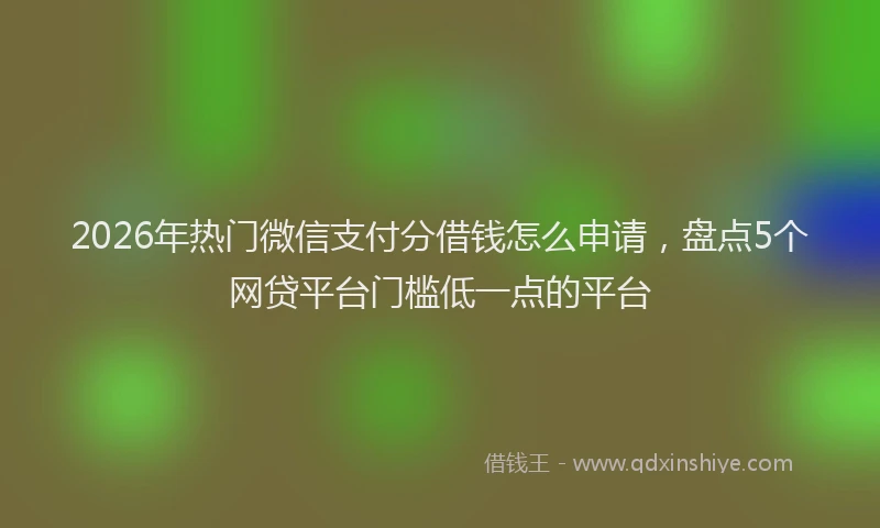 2026年热门微信支付分借钱怎么申请,盘点5个网贷平台门槛低一点的平台