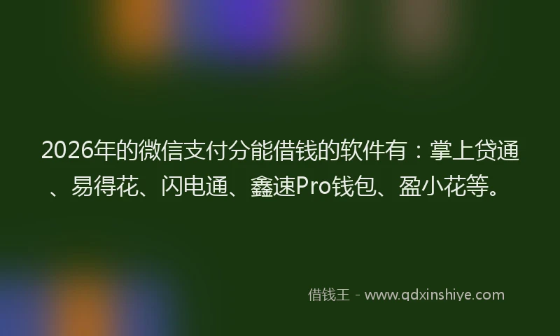 2026年的微信支付分能借钱的软件有：掌上贷通、易得花、闪电通、鑫速Pro钱包、盈小花等。