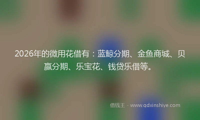 2026年的微用花借有：蓝鲸分期、金鱼商城、贝赢分期、乐宝花、钱贷乐借等。