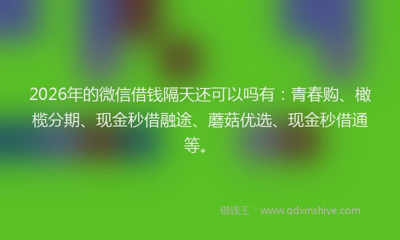 2026年的微信借钱隔天还可以吗有：青春购、橄榄分期、现金秒借融途、蘑菇优选、现金秒借通等。
