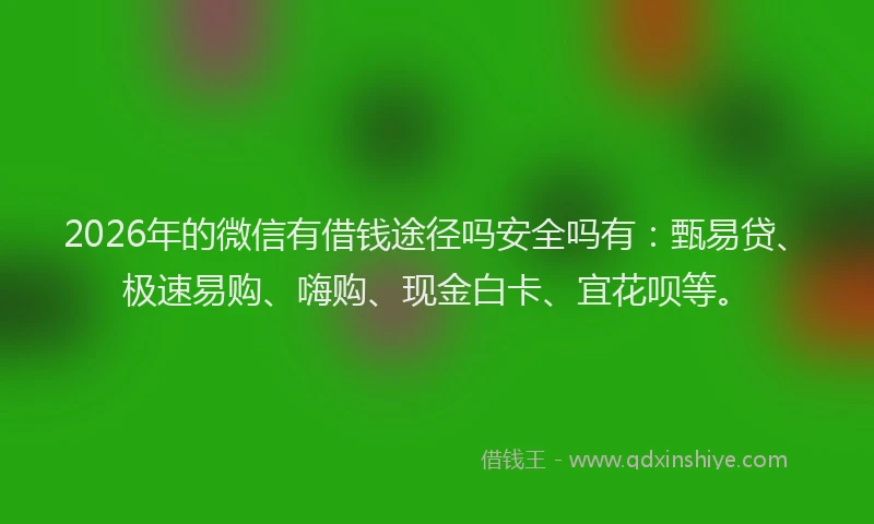2026年的微信有借钱途径吗安全吗有：甄易贷、极速易购、嗨购、现金白卡、宜花呗等。