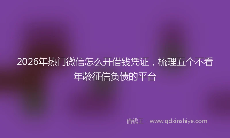 2026年热门微信怎么开借钱凭证,梳理五个不看年龄征信负债的平台