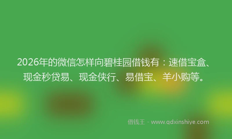 2026年的微信怎样向碧桂园借钱有：速借宝盒、现金秒贷易、现金侠行、易借宝、羊小购等。