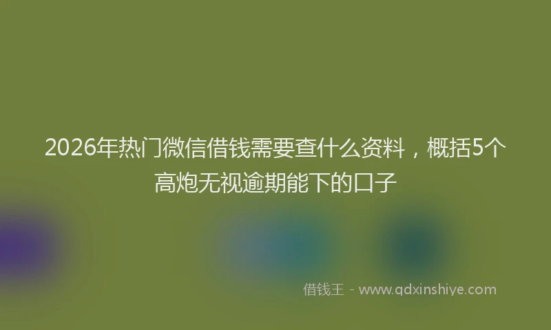 2026年热门微信借钱需要查什么资料，概括5个高炮无视逾期能下的口子
