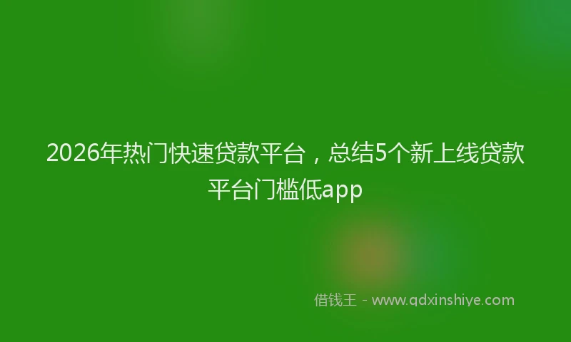 2026年热门快速贷款平台，总结5个新上线贷款平台门槛低app