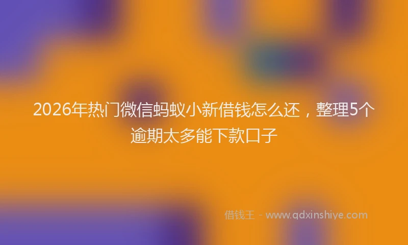 2026年热门微信蚂蚁小新借钱怎么还，整理5个逾期太多能下款口子