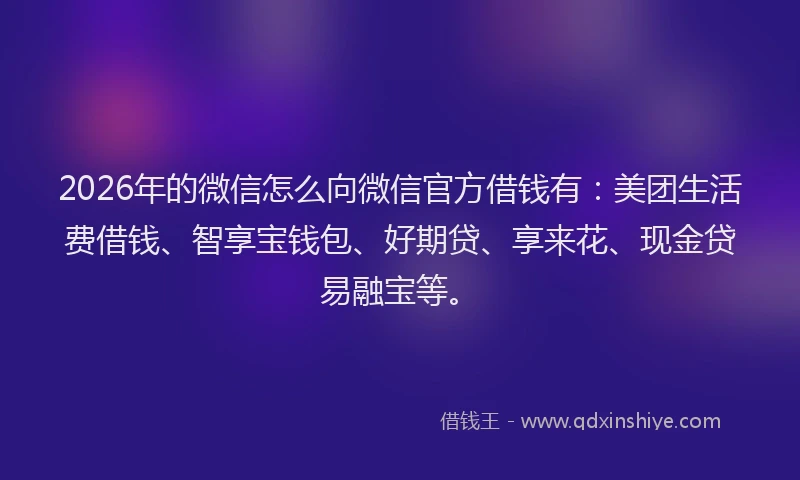 2026年的微信怎么向微信官方借钱有：美团生活费借钱、智享宝钱包、好期贷、享来花、现金贷易融宝等。