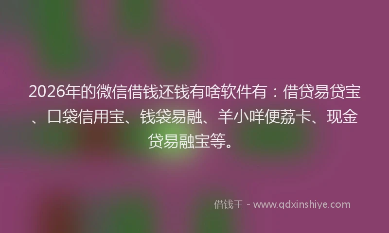 2026年的微信借钱还钱有啥软件有：借贷易贷宝、口袋信用宝、钱袋易融、羊小咩便荔卡、现金贷易融宝等。