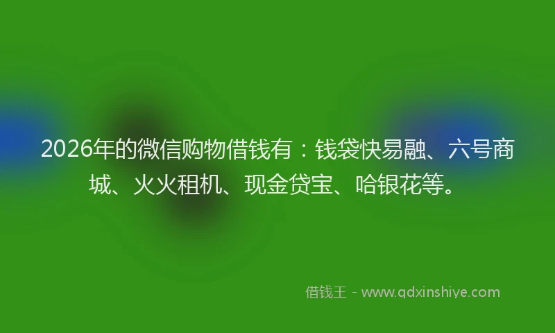 2026年的微信购物借钱有：钱袋快易融、六号商城、火火租机、现金贷宝、哈银花等。