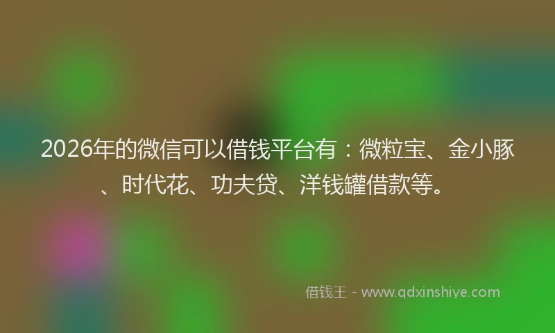 2026年的微信可以借钱平台有：微粒宝、金小豚、时代花、功夫贷、洋钱罐借款等。