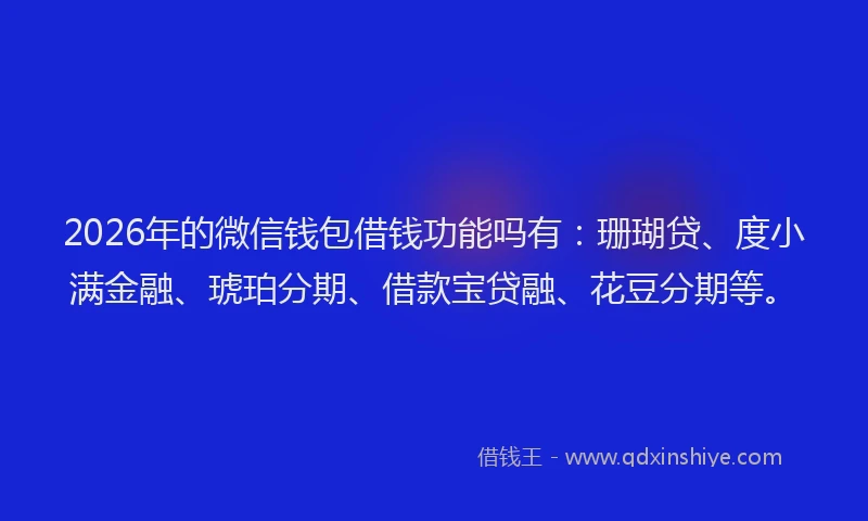 2026年的微信钱包借钱功能吗有：珊瑚贷、度小满金融、琥珀分期、借款宝贷融、花豆分期等。