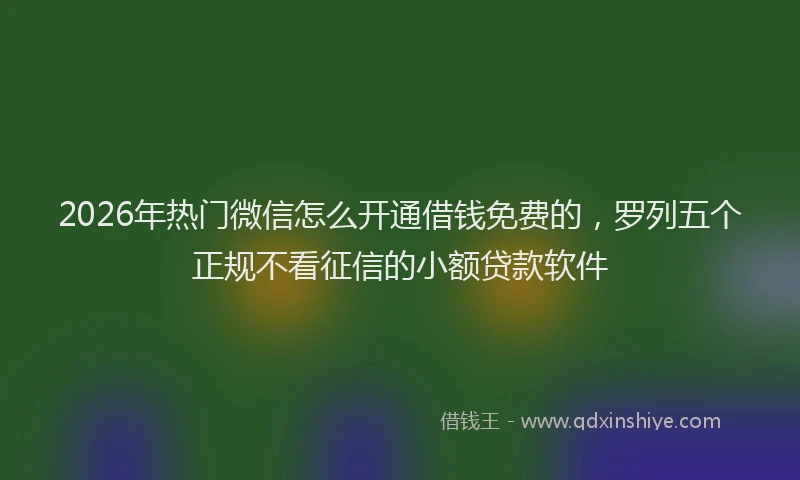 2026年热门微信怎么开通借钱免费的，罗列五个正规不看征信的小额贷款软件